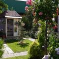Розовые сады Москвы с "Зелёной стрелой"