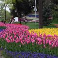 Старинный дворцовый парк Эмирган (Park Emirgan)